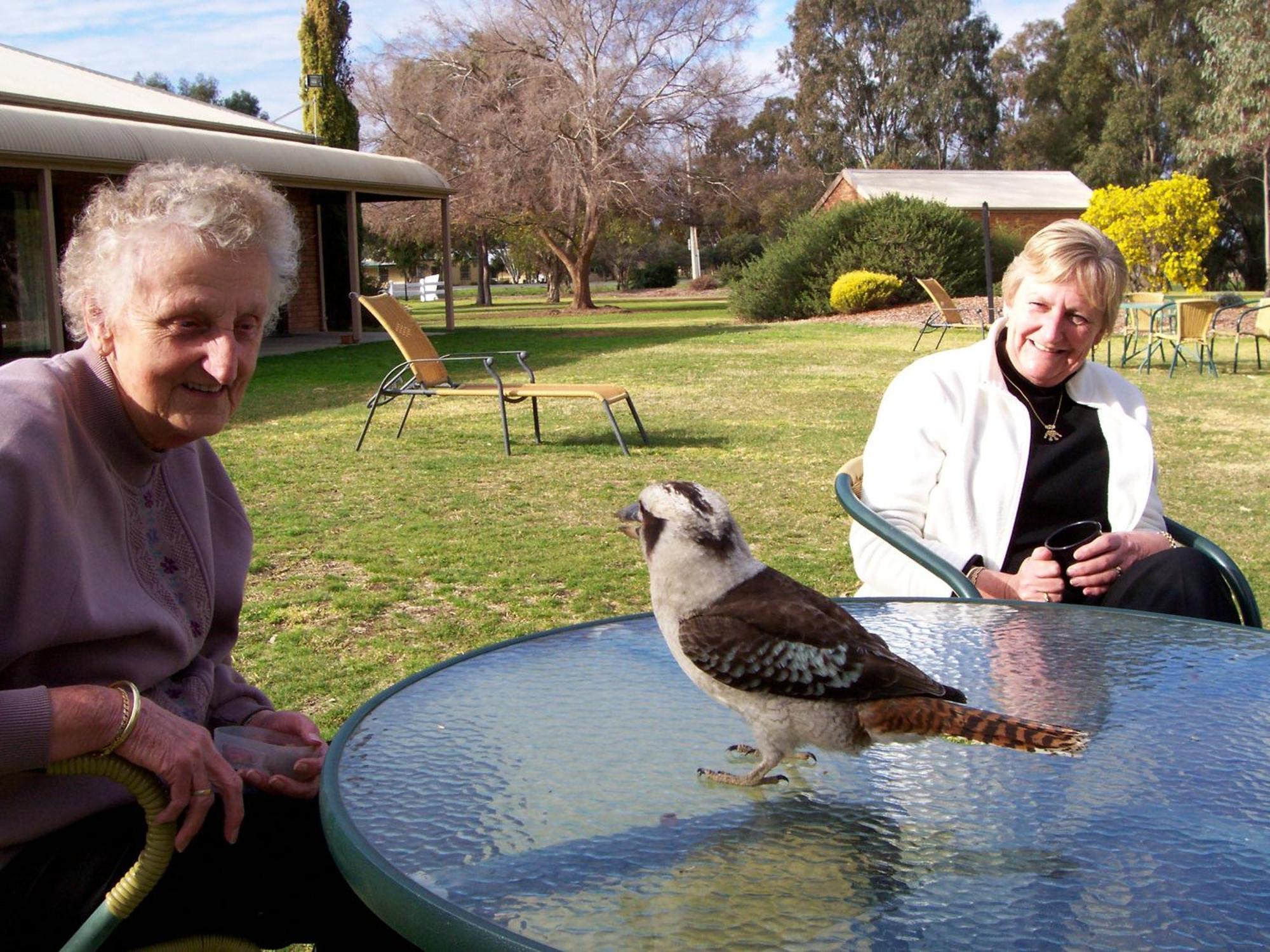 Cadell On The Murray Motel Moama Bagian luar foto