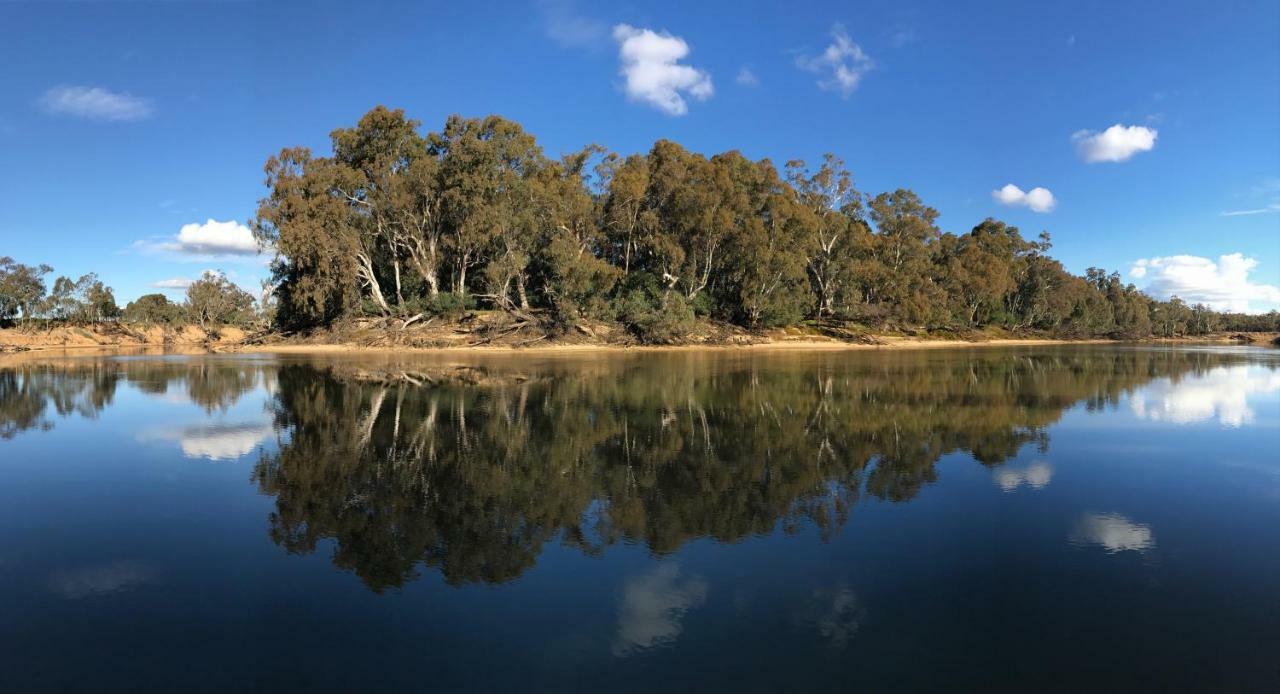 Cadell On The Murray Motel Moama Bagian luar foto